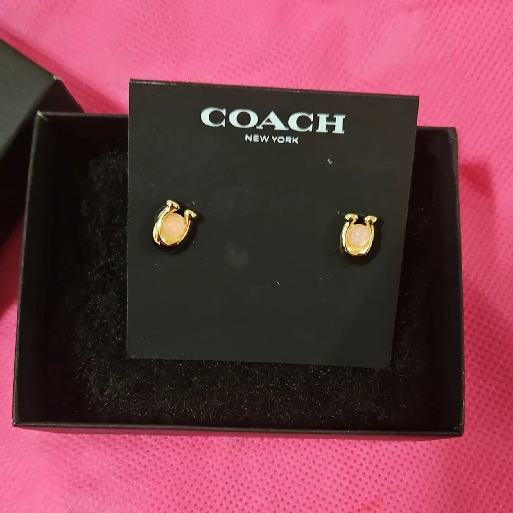 Coach Gold and Pink Oval Earrings - Picture 3 of 4